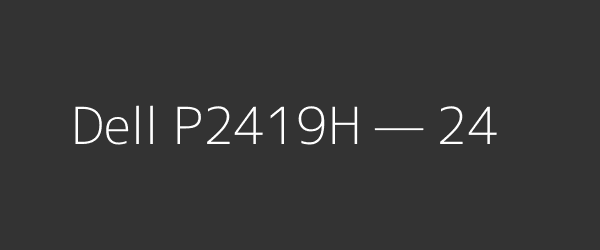 Dell P2419H — 24